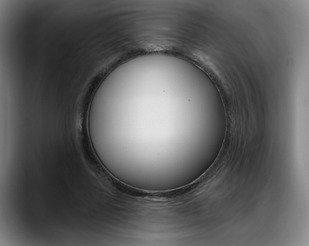 X0000089380539200706150913