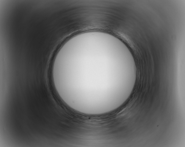X0000089380540200706150913