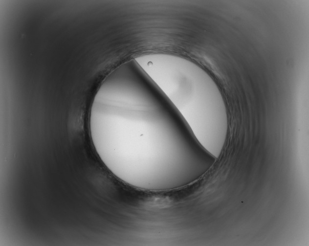 X0000089380543200706150913