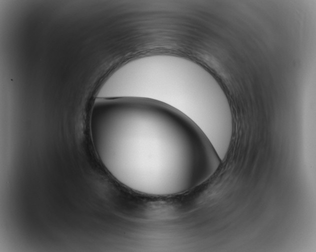 X0000089380544200706150913