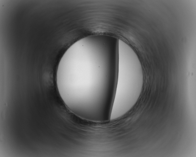 X0000089380547200706150913