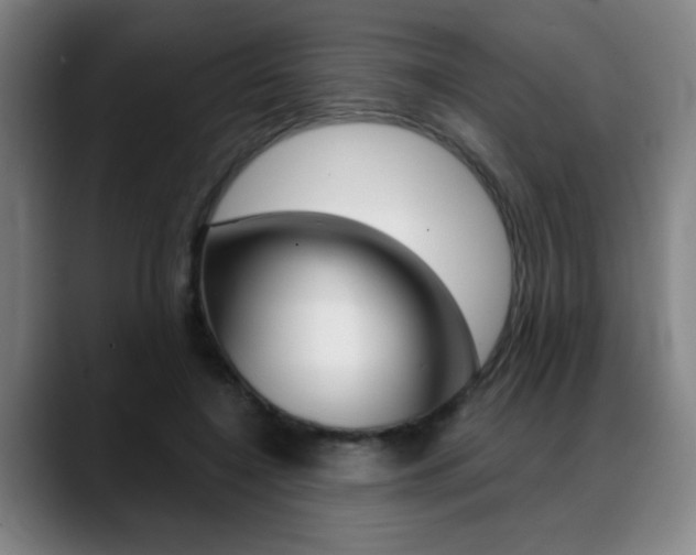 X0000089380548200706150913