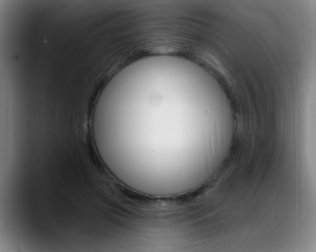 X0000089380549200706150913
