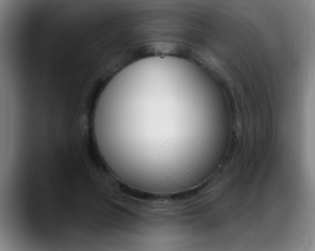 X0000089380551200706150913