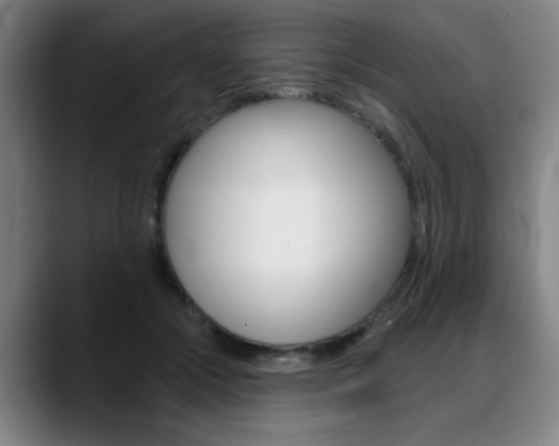 X0000089380553200706150913