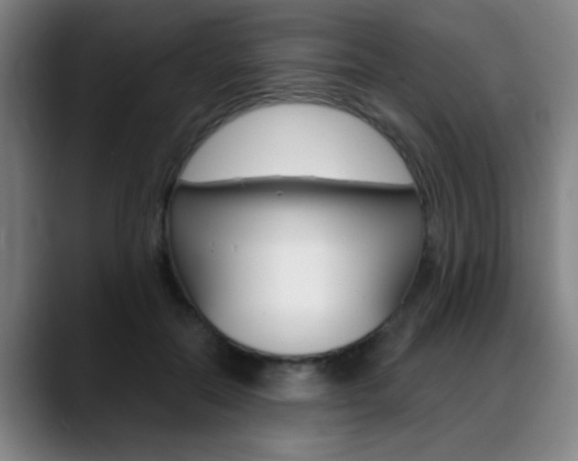 X0000089380554200706150913