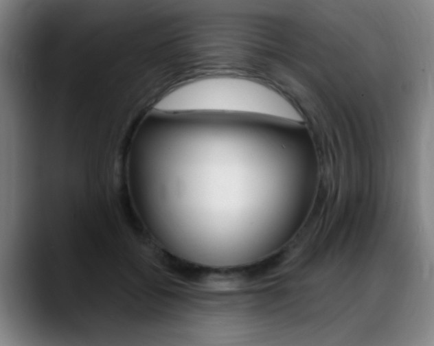 X0000089380556200706150913