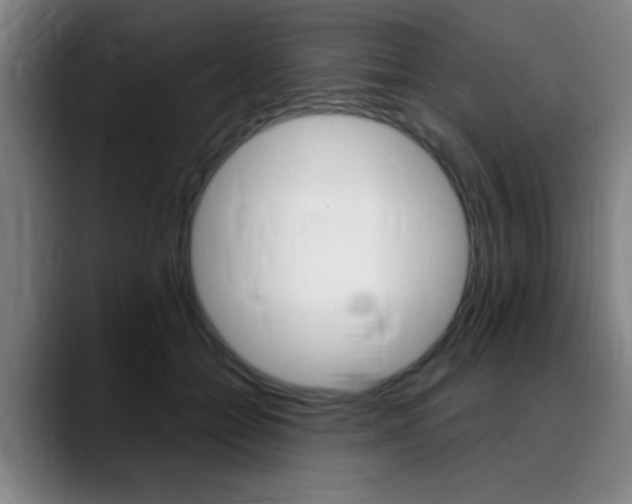 X0000089380558200706150913