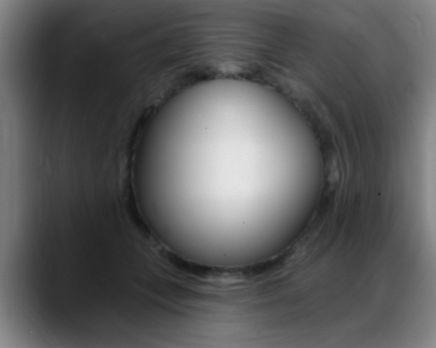 X0000089380559200706150913