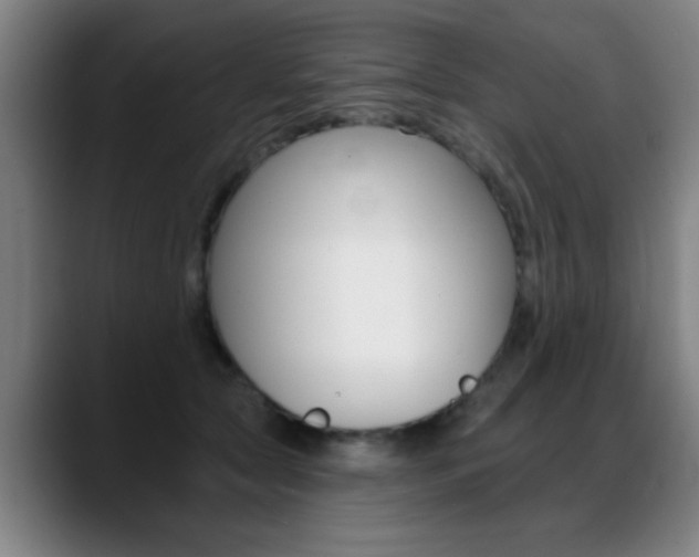 X0000089380561200706150913