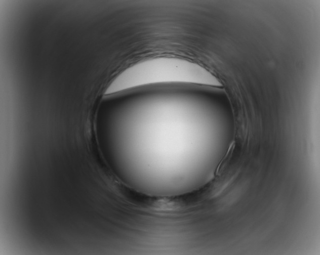 X0000089380562200706150913