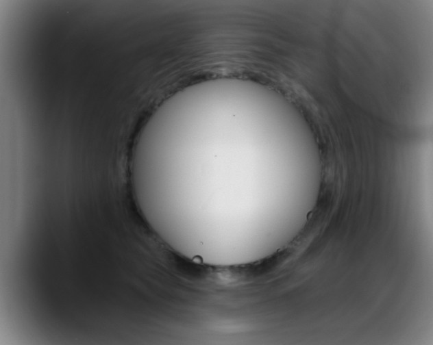 X0000089380565200706150913