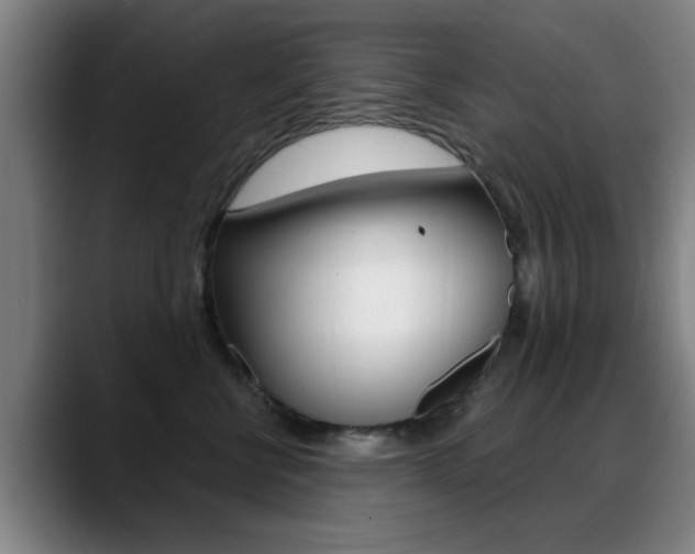 X0000089380570200706150913