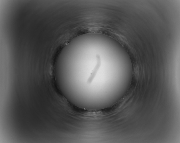 X0000089380571200706150913