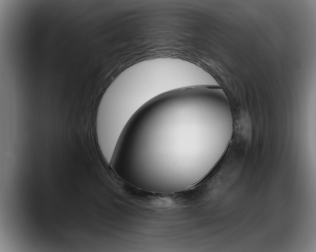 X0000089380572200706150913