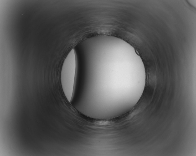 X0000089380575200706150914
