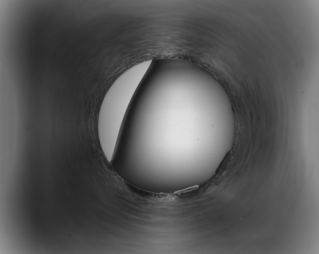 X0000089380576200706150914