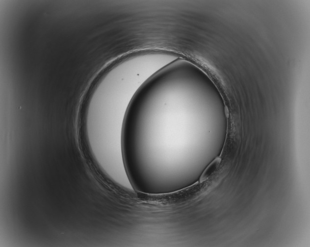 X0000089380580200706150913