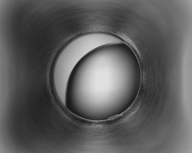 X0000089380581200706150913