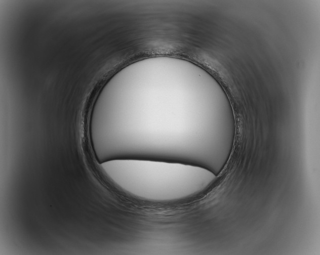 X0000089380582200706150913