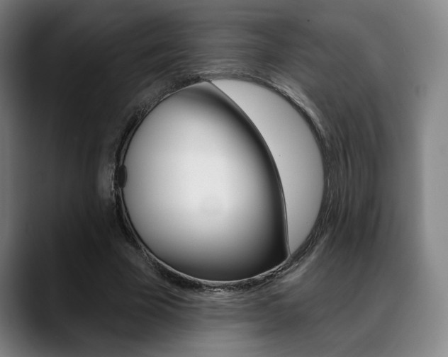 X0000089380585200706150913
