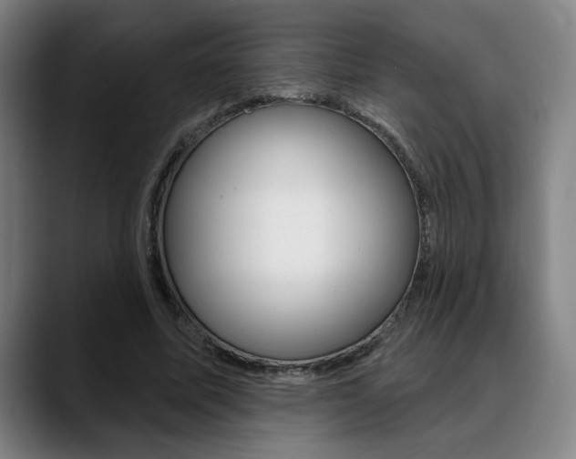X0000089380587200706150913