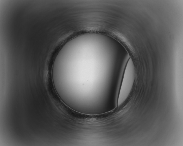 X0000089380588200706150913