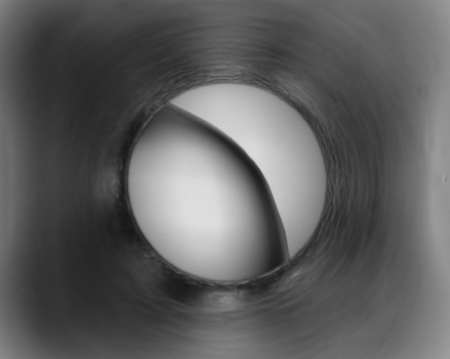 X0000089380595200706150913