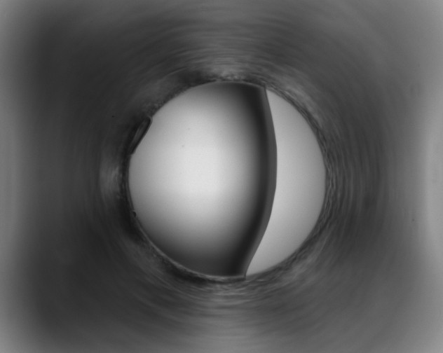X0000089380597200706150913