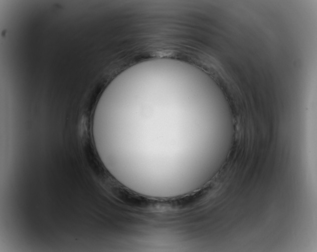 X0000089380598200706150913