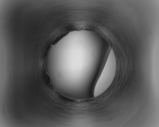 X0000089380601200706150913