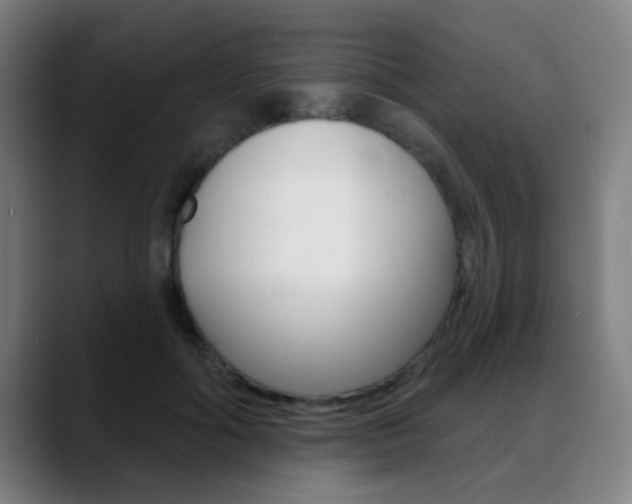 X0000089380602200706150913