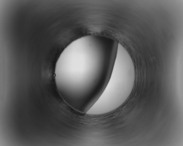 X0000089380608200706150912