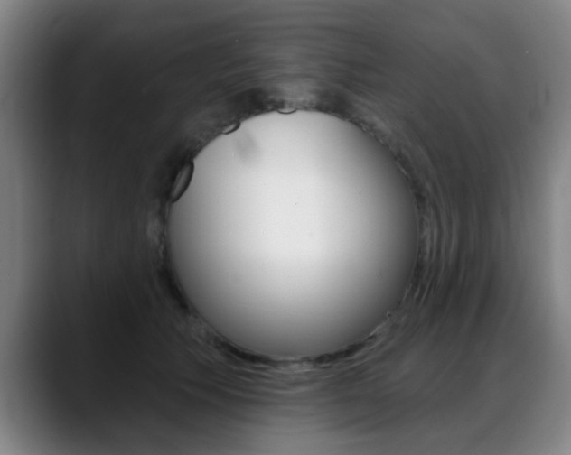 X0000089380609200706150912