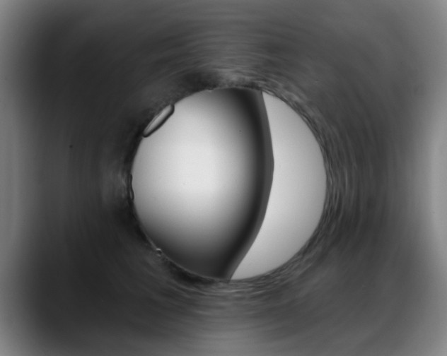 X0000089380613200706150912