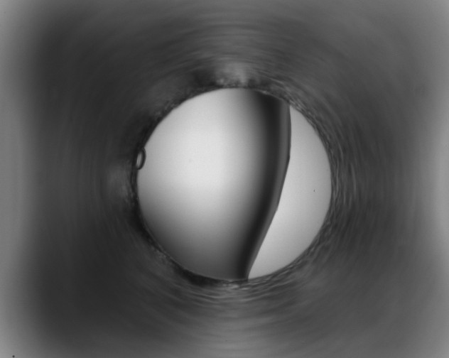 X0000089380616200706150912