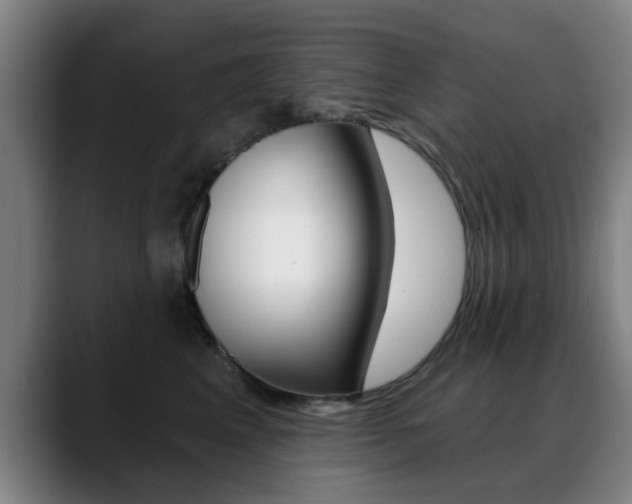 X0000089380617200706150912
