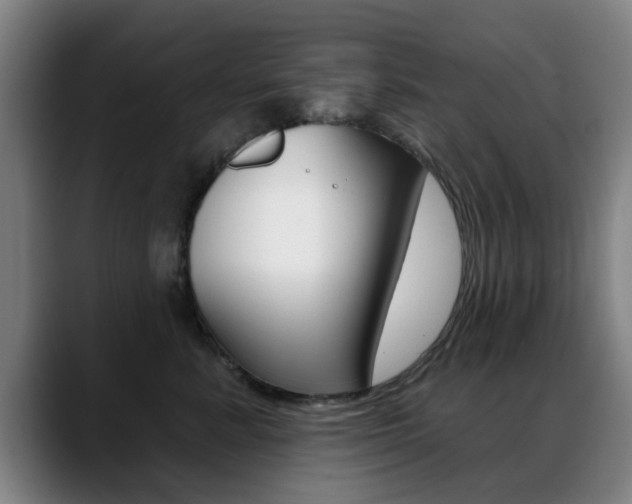 X0000089380619200706150912