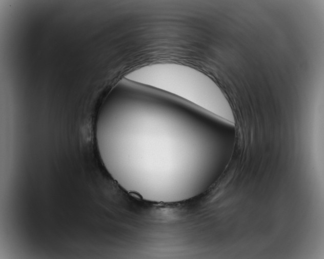 X0000089380620200706150912