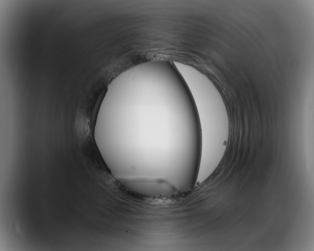 X0000089380621200706150912