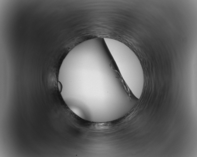 X0000089380622200706150912