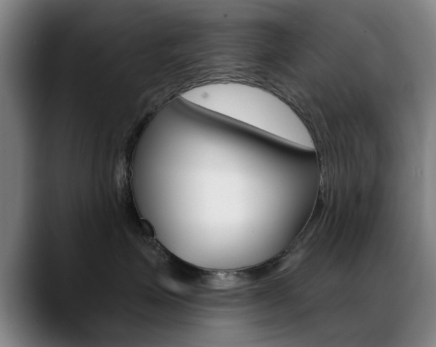 X0000089380623200706150912