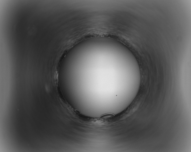 X0000089380624200706150912