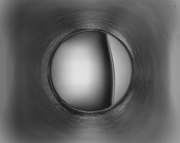 X0000089380625200706150912