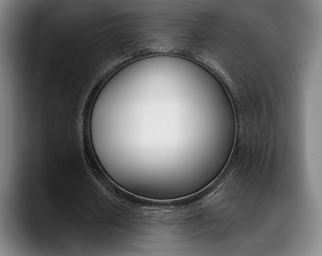 X0000089380626200706150912