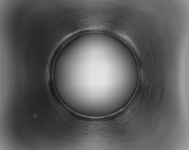 X0000089380628200706150912