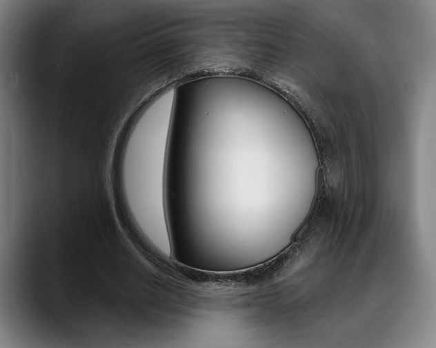 X0000089380630200706150912