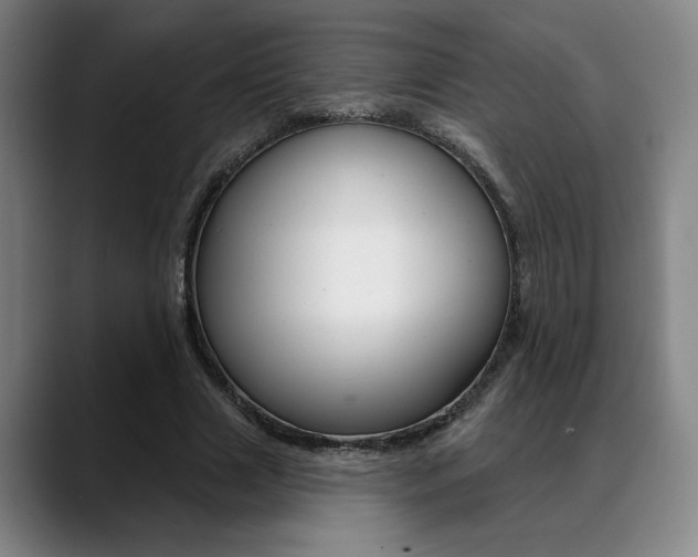 X0000089380633200706150912