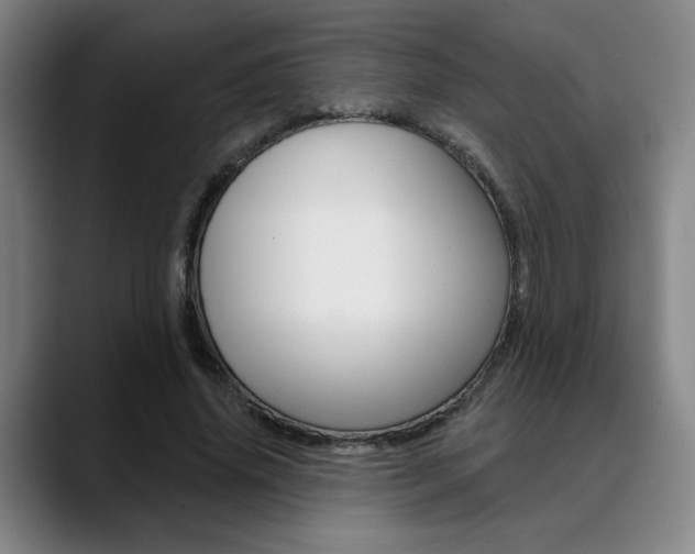 X0000089380636200706150912
