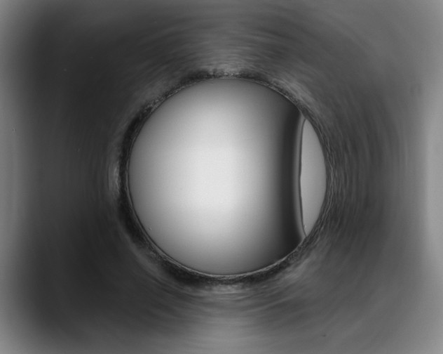 X0000089380638200706150912